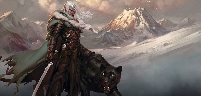 Rolebuilding - Drizzt Do'Urden